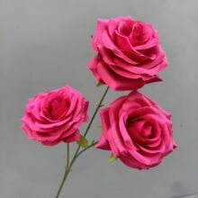 ?ӆ����ٻ�õ�tɫ��c���鷿���û�Y���b����Ż�·����