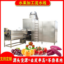 巨峰葡萄蒸汽去皮机 速冻葡萄粒加工设备 葡萄罐头加工设备烫皮机