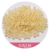 DS23