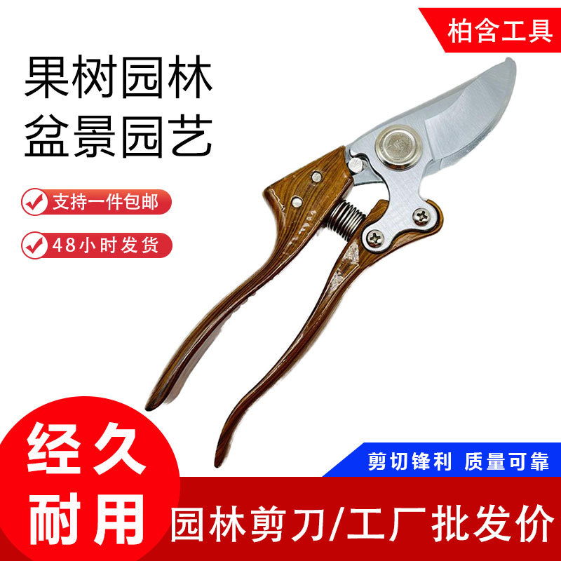 果枝剪 园林园艺修剪工具 树枝摘果剪盆栽城市绿化带修枝剪