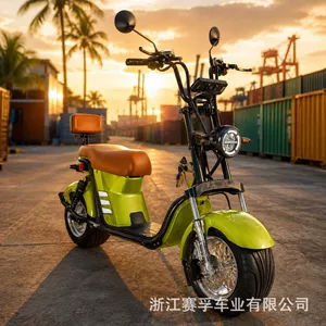 Braziliyadan Harley-tipli Citycoco geniş təkərli elektrikli motosiklet, böyüklər üçün