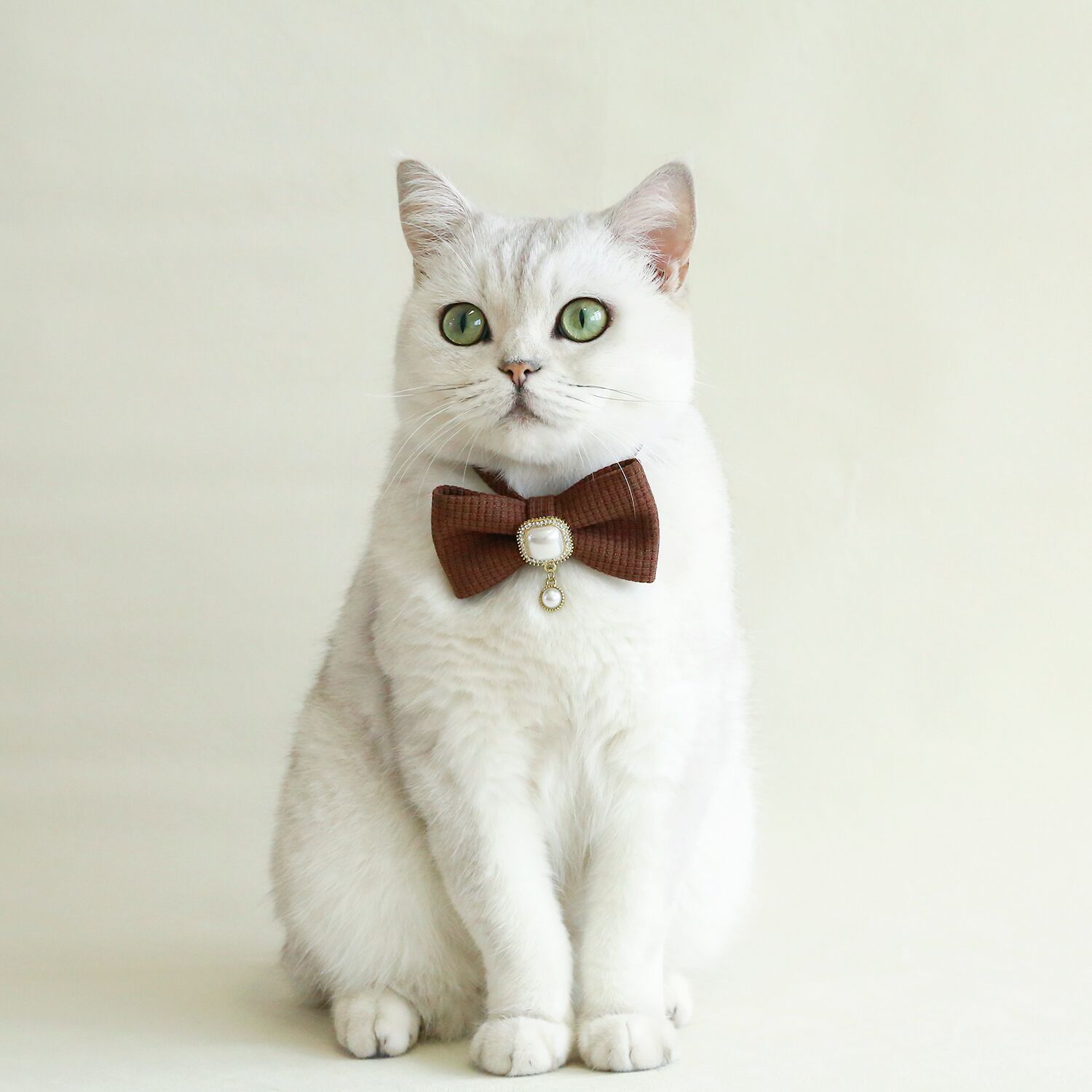 Plaid waffle pet corbata Merad estilo retro perla colgante taladro arco accesorios gatos perros collares