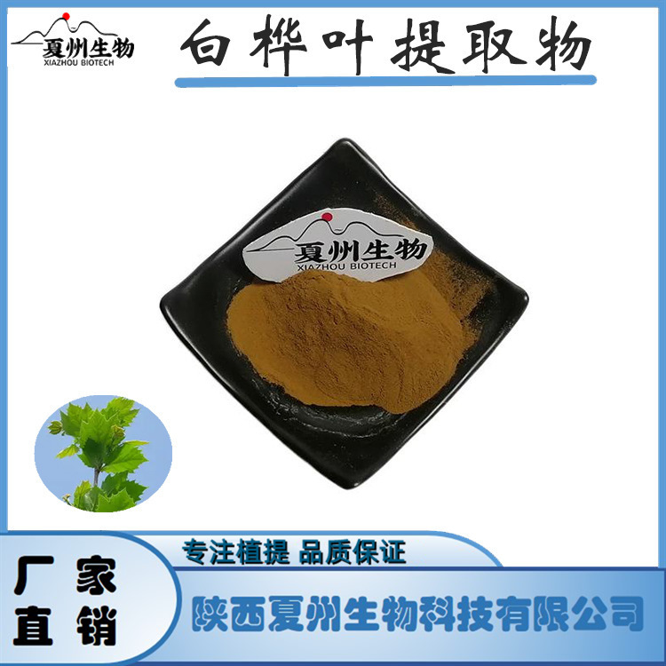 白桦叶提取物 10/20/30:1 另50:1规格 夏州生物 原料供应 现货