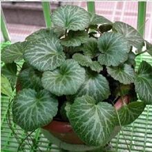 �����ݵ���z���~���ԾGֲ�ļ��_���^�pș�õ��mƷ�N��ȫ���X����