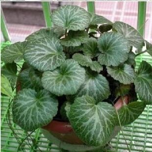 �����ݵ���z���~���ԾGֲ�ļ��_���^�pș�õ��mƷ�N��ȫ���X����