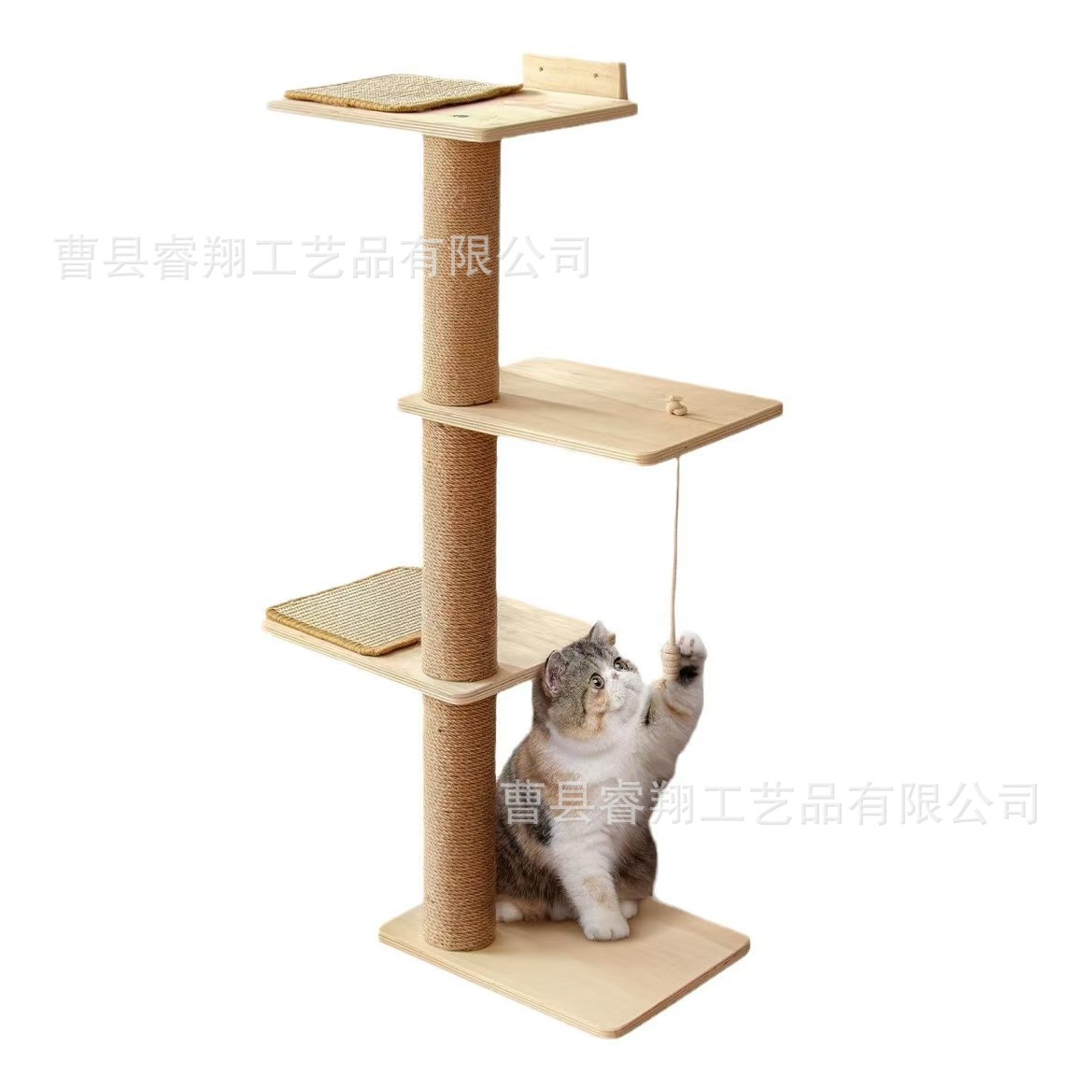 微信图片_202501170841441