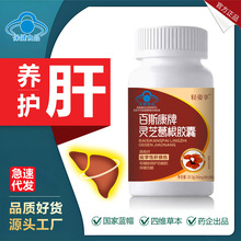 葛根灵芝片养肝片护肝胶囊辅助保护肝损喝酒熬夜现货批发