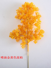 ����ɫ��֦�°��~�����ɘ�֦�پGֲ�辰ӭ���ɘ��~֦�l