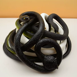 陶瓷彩绘沙画;动植物仿真;储蓄罐