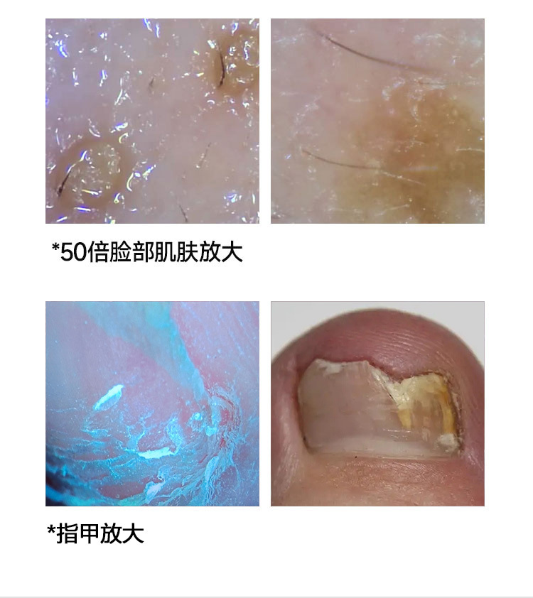 10寸企业店三光谱新详情_06-1.jpg