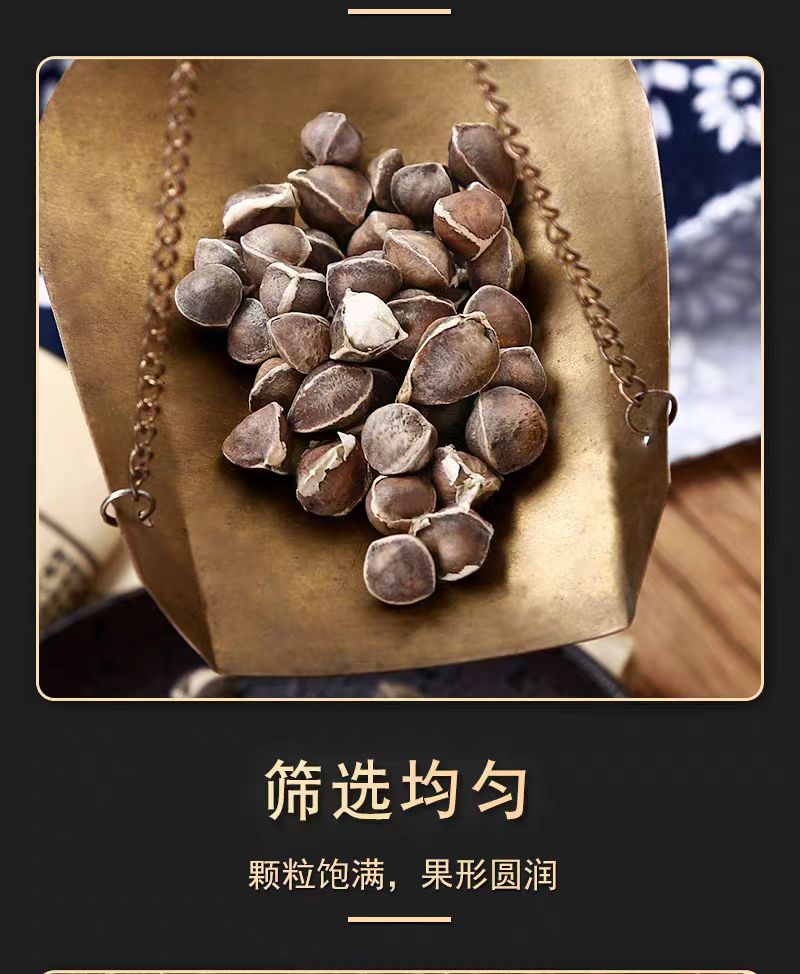 Moringa Seeds (Moringa oleifera) — Dried Food-Herb Seeds, 500g Yunnan Origin quality and texture