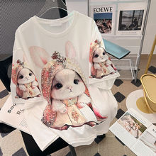 �n���¿��OӋ��С������T��Ůʿ��ͨ���p�g���ɸ�ζ�͹�������