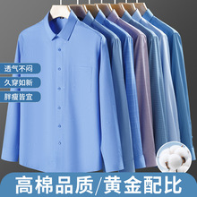 �¿�2025�¿���ʿ�r���L���̄����b�r���������b�������b�������b