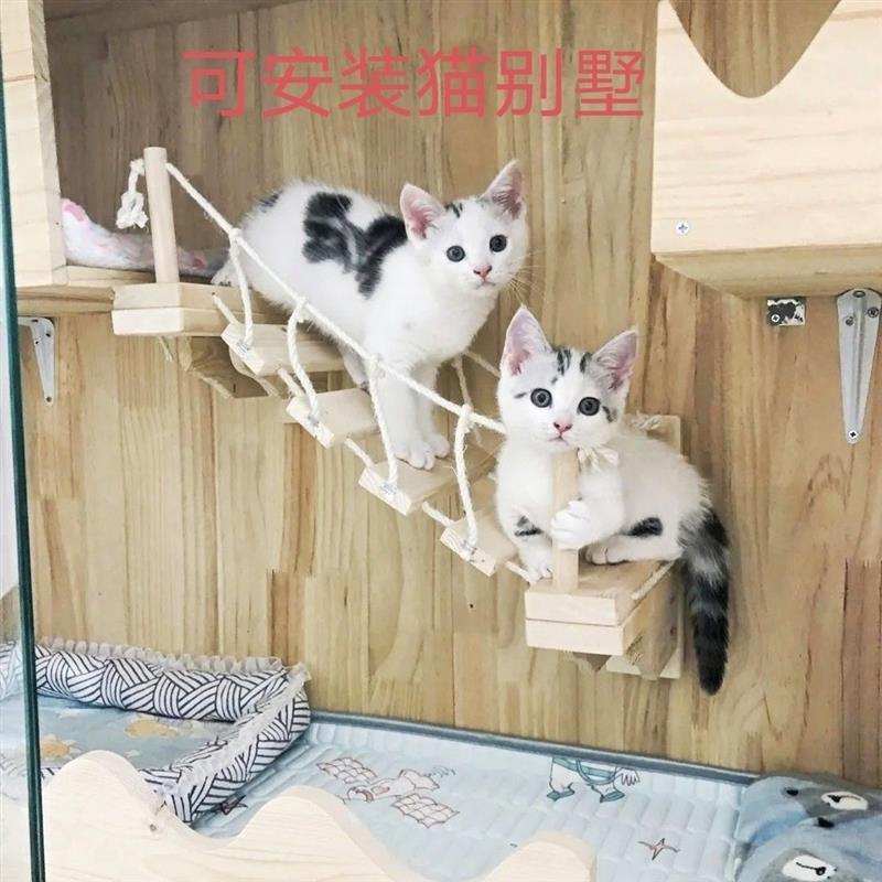 猫クライミングフレーム壁掛け無垢材壁掛け猫ラック猫の巣壁掛けスペースをとらないジャンプ台爪とぎラダー麻縄|undefined