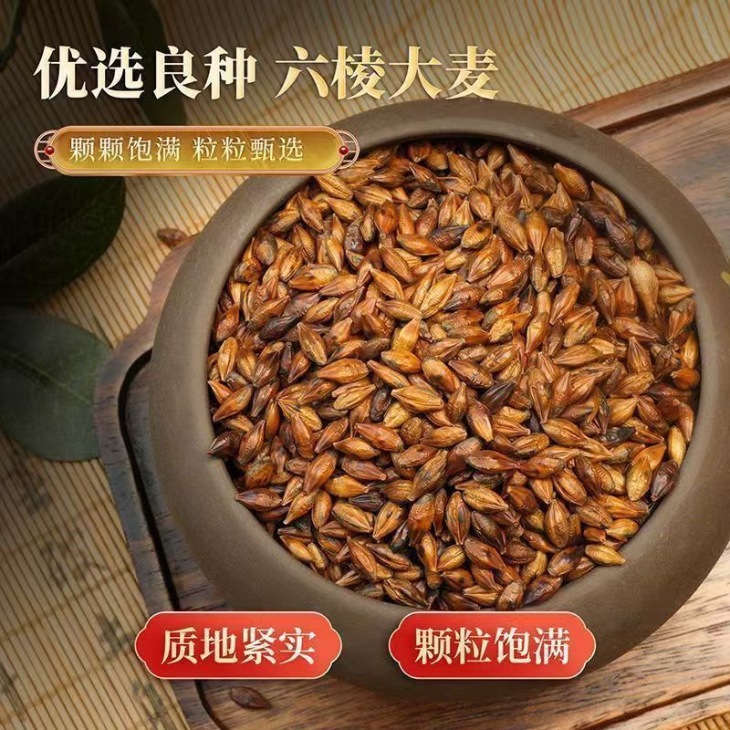 Roasted Barley Tea Da Mai Cha 5g x 30 Bags Caffeine Free Toasted Grain Herbal Infusion for Daily Drinking key features