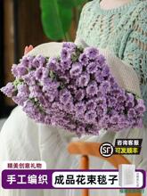 �ֹ��h��õ�廨��ë̺�ӳ�Ʒᘿ���˯�w̺��Ϧ�̎����Y����Ů����