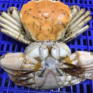 ����S��ѩз�r����������S���LзƤ��з�ʺ�з���ͺ��rˮ�a���l