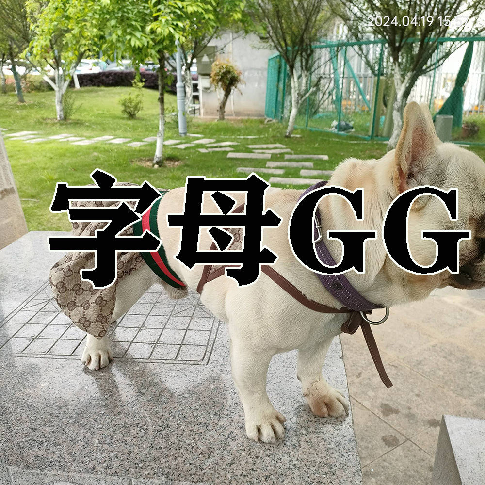 편지 GG