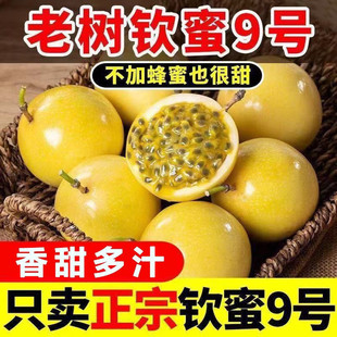 �V���J�������S���������r�Sɫ�ЋD�u��ˮ�����������������l