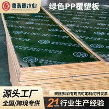 跨境出口标准中东专供塑料膜模板 混凝土支模48尺绿色PP覆塑板