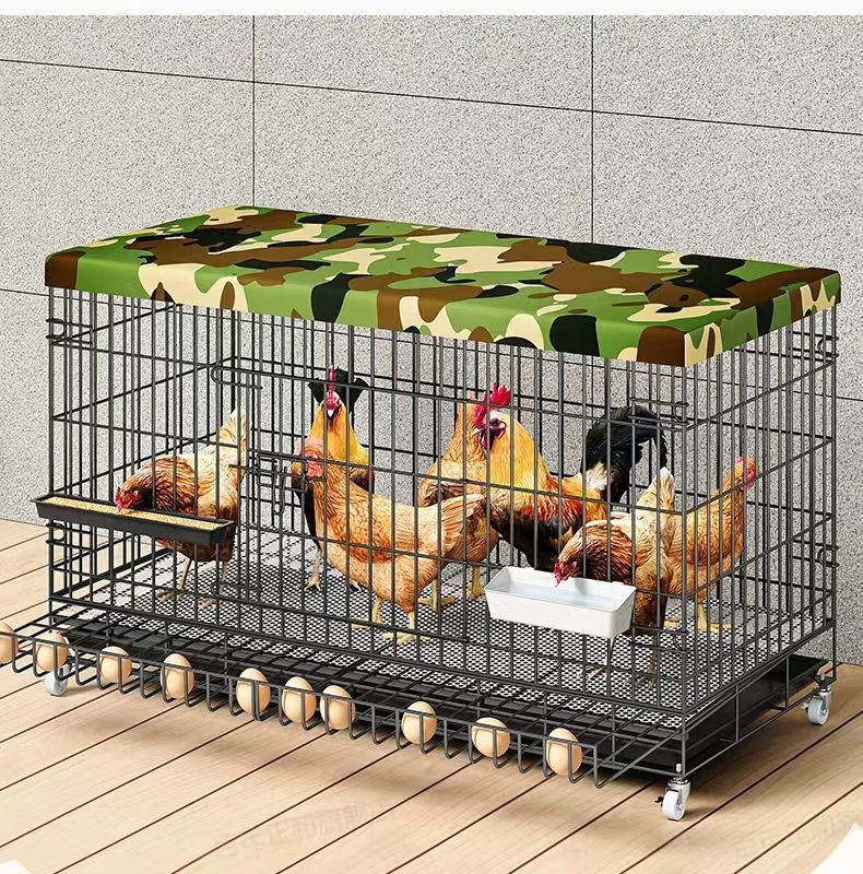 ce4bd69a-88b6-4274-a2c1-a05247950131.jpe