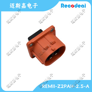 REMII-Z2PAH-2.5-A����_ԭ�b7.731.190005��܇�B�����Ӳ���z��