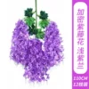 Encrypted Wisteria Flower - Light Purple Orchid