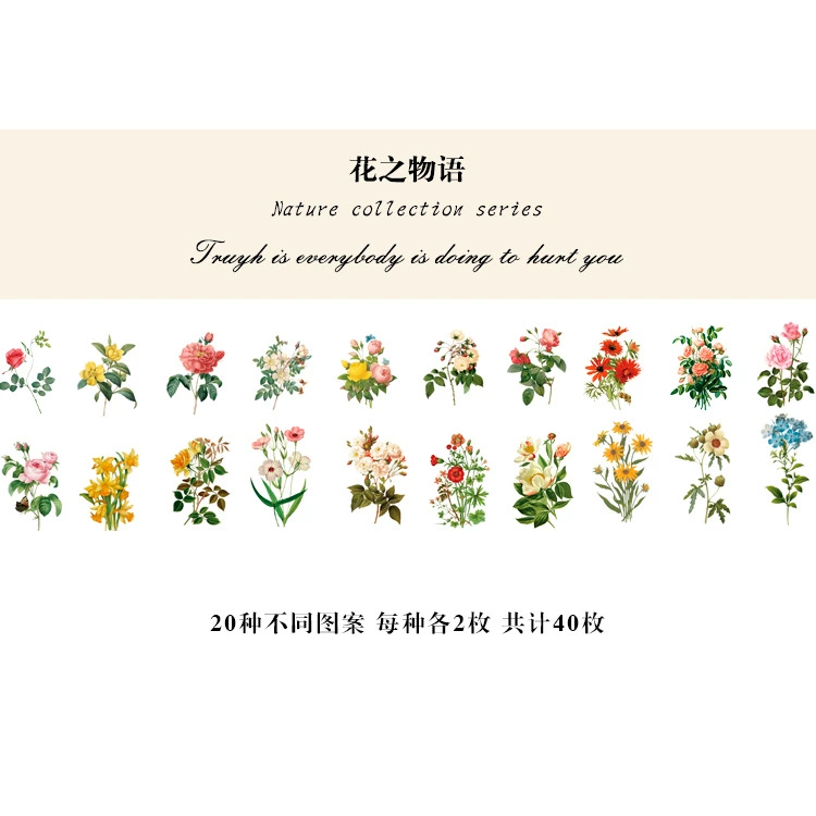 Natural photo collection window series PET handbook post paper bag creative plant DIY decorative post 12 models