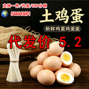 ��z�u��������횸���l�澀���末�淽����ʳ�u����
