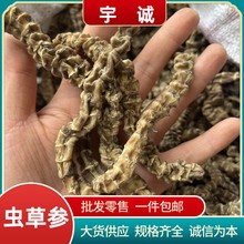 �؅��x�݅����x���񹝅����m����؛���������l�ش���