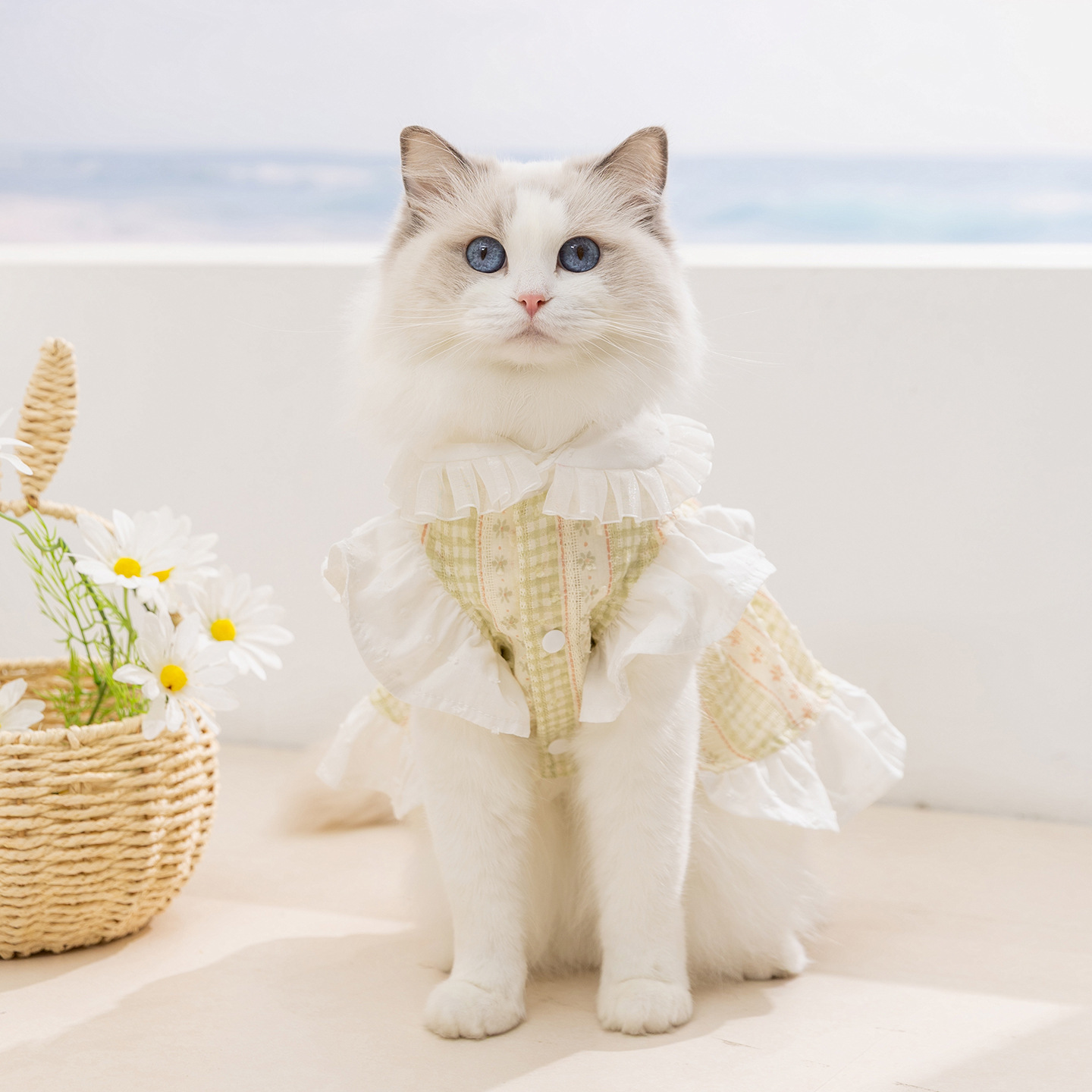 26 nuevo viento de primavera y verano de corte delgado vestido de perro gato perro pequeño y mediano Teddy Bear mascota ropa de perro