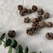 �������޹�U�㱭�����ɹ��ɻ��}�Q�b�DIY�Ĕz������Ȼ�ֹ��M��
