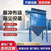 pulse Bag dust collector carpentry workshop Dust Handle equipment Industry Cartridge Cloth bag a duster