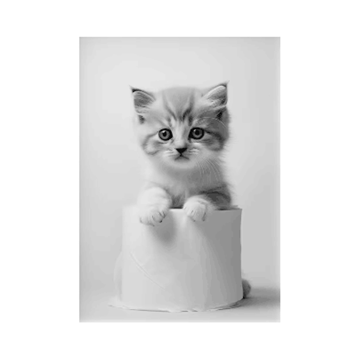 Negro y blanco adorables animales con papel higiénico póster búho perro lienzo pintura de pared arte baño sala de estar decoración del hogar