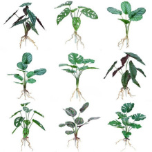 ����ֲ��Gֲ�辰�Ҿ��҃Ȼ��@�G�������b����������~ ���~��