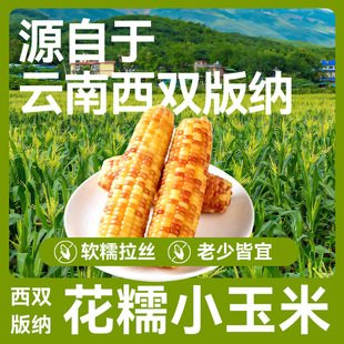 ������p��{��ŴС������հ��b��ʳŴ���׌W���ϰ�������װ�