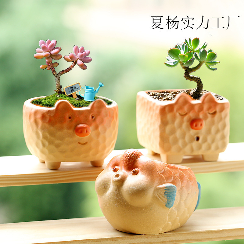New Cartoon Pig Family Succulent Pot Ceramic Household Special Breathable Clay Coarse Pottery Root Control Pot Wholesale Clearance
