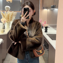 2026�¿��ˮ���q��ů����Ƥ�����³��ÿ����X�LƤëһ�wëë����