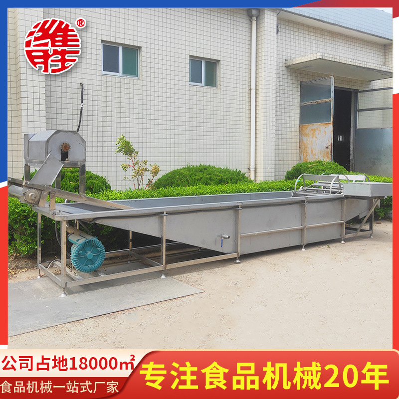 商用大蒜成套处理设备 大蒜清洗漂皮机设备 大蒜分瓣漂皮机设备