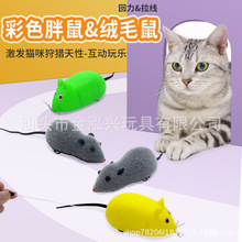 ��ͨ��������ë�qС�������M��؈�������������߿羳�������l