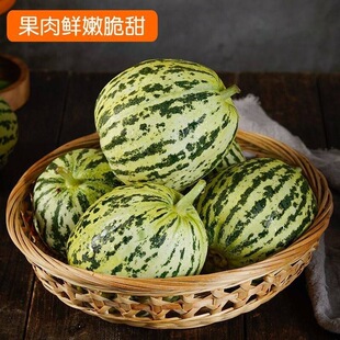 ɽ�|�Fժ�F�l��������ϰ��������Ƥ����֭�������r�������r��ժ