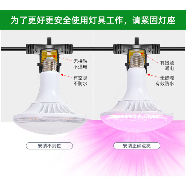 LED fill light