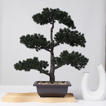 小盆栽装饰品 小盆栽装饰品品牌 图片 价格 小盆栽装饰品批发 阿里巴巴