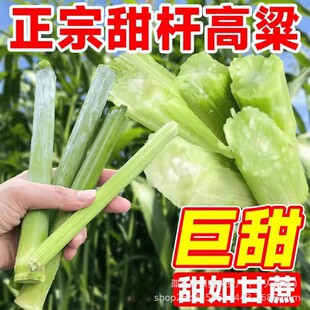 ������U�N��������ѱ�����U����N��ԭ�b�ļ��߲�ˮ���N�Ӵ�ȫ