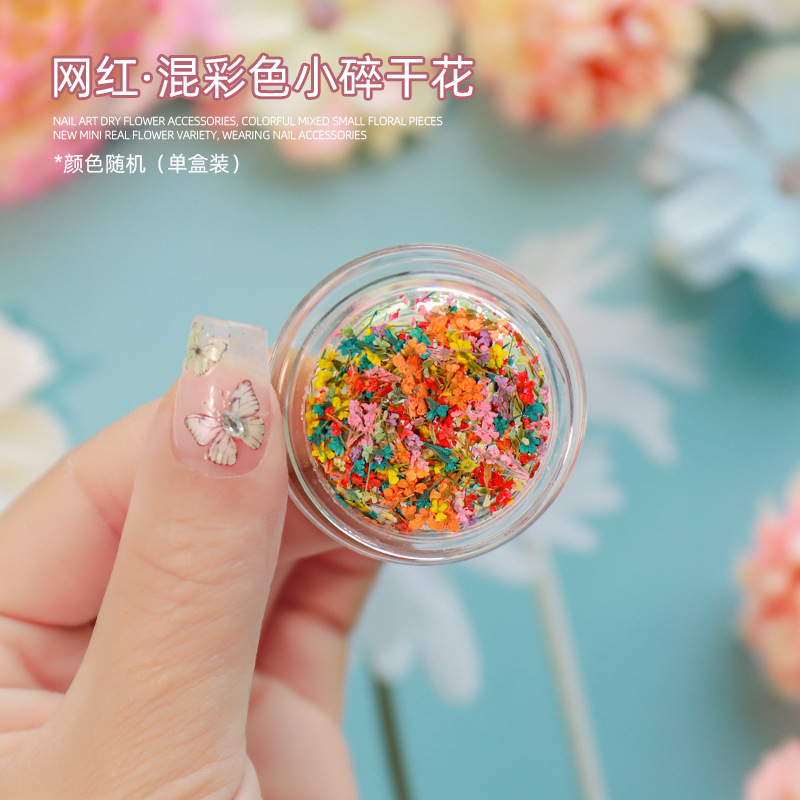 Red de Internet estilo caliente arte de uñas color mixto flores pequeñas flores secas primavera pintura al óleo a juego mini flores reales desgaste uñas adornos de uñas