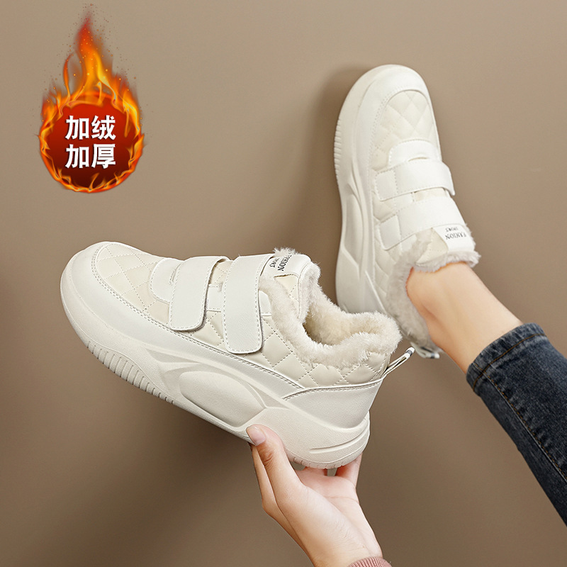 F 2575m 색상 [벨벳 플러스]