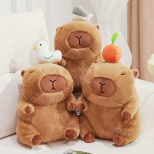 ��Ƥ����ˮ���������\С�u���~����ë�q��߹�����Ʒ���l�F؛����