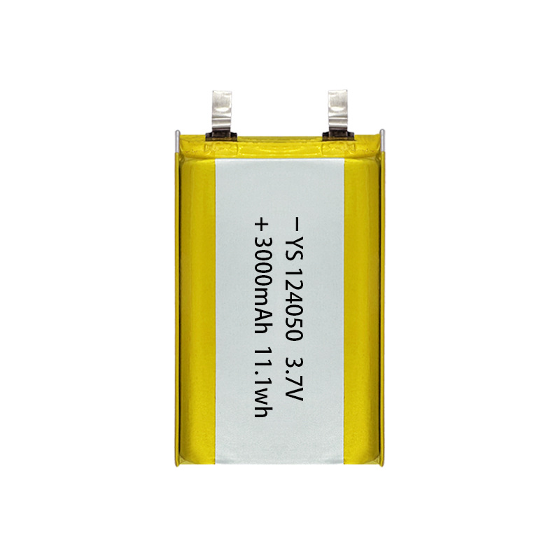 124050 배터리 셀