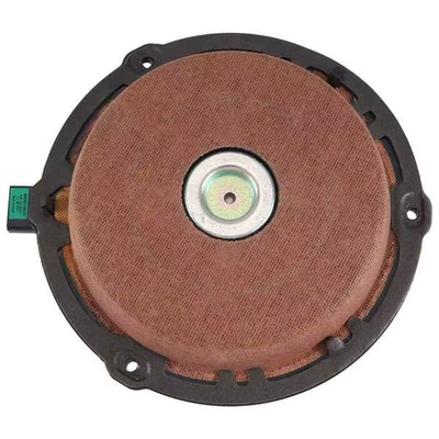 DS5 door subwoofer speaker – Car horn assembly