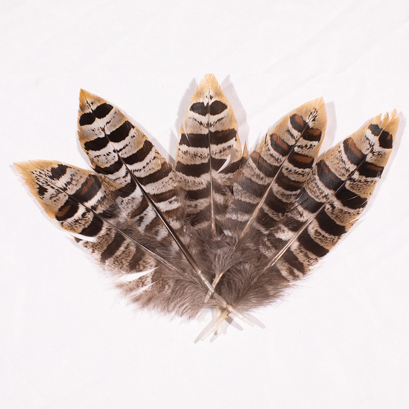 厂家批发地鸡羽毛10-15cm地鸡尖真毛手工DIY设计饰品配件服饰辅料|ms